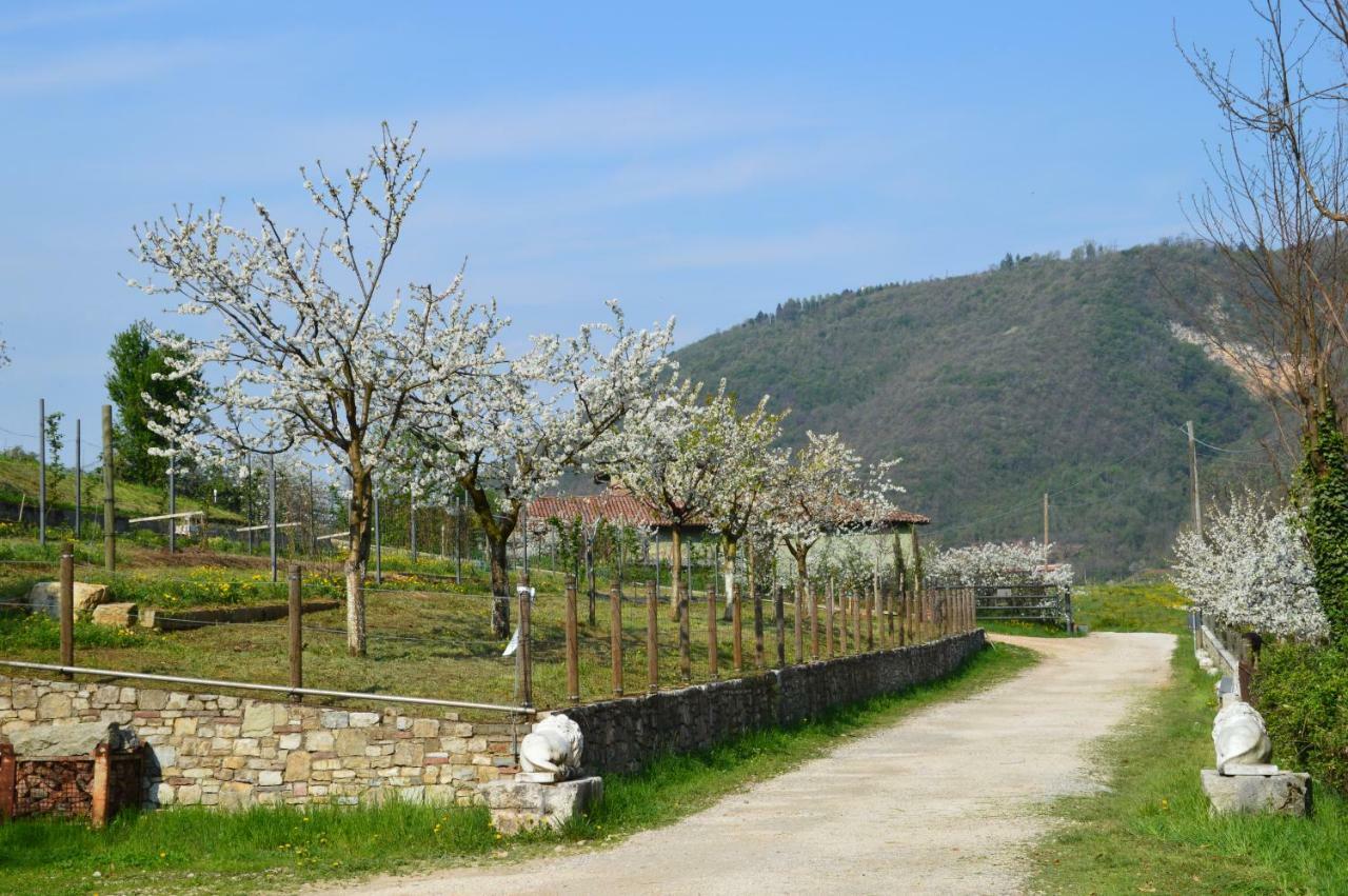 Cascina Valsorda Bed & Breakfast Concesio Екстериор снимка