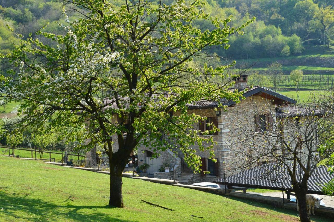 Cascina Valsorda Bed & Breakfast Concesio Екстериор снимка